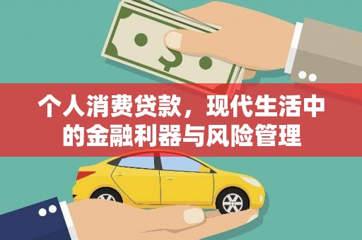 特克斯个人消费贷款，现代生活中的金融利器与风险管理