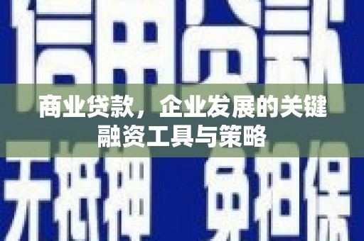 特克斯商业贷款，企业发展的关键融资工具与策略