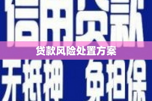 特克斯贷款风险处置方案