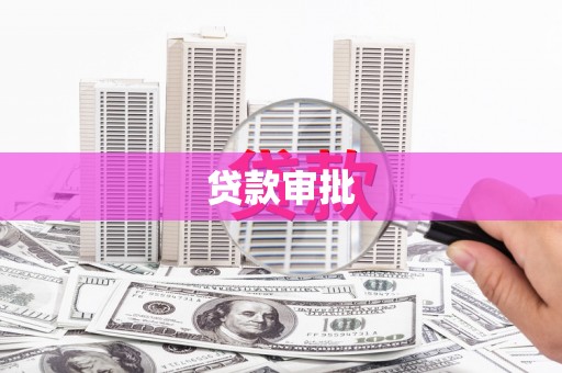 特克斯贷款审批