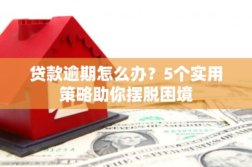 特克斯贷款逾期怎么办？5个实用策略助你摆脱困境