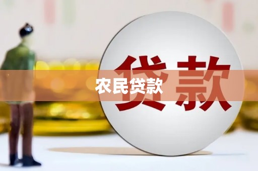 特克斯农民贷款