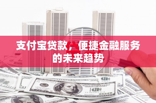 特克斯支付宝贷款，便捷金融服务的未来趋势