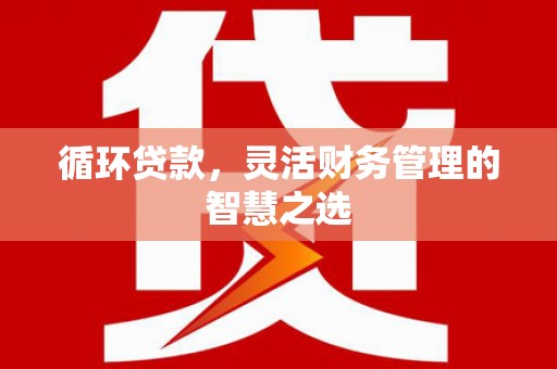 特克斯循环贷款，灵活财务管理的智慧之选