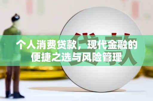 特克斯个人消费贷款，现代金融的便捷之选与风险管理