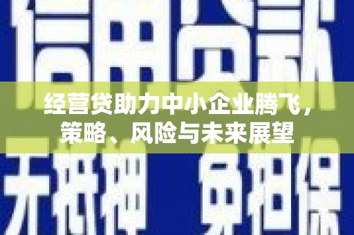 特克斯经营贷助力中小企业腾飞，策略、风险与未来展望