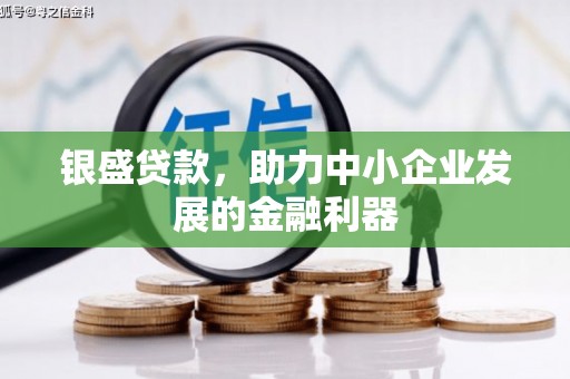 特克斯银盛贷款，助力中小企业发展的金融利器