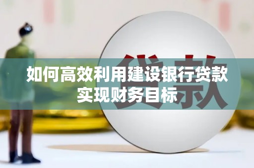 特克斯如何高效利用建设银行贷款实现财务目标