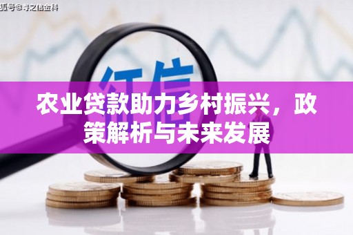 特克斯农业贷款助力乡村振兴，政策解析与未来发展