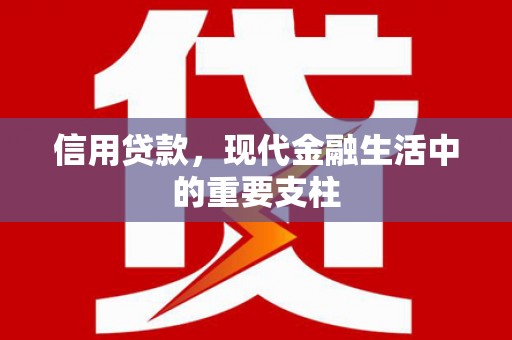 特克斯信用贷款，现代金融生活中的重要支柱