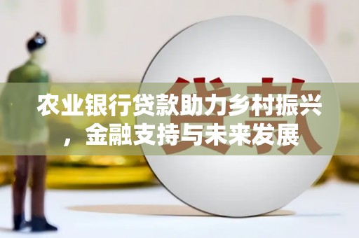 特克斯农业银行贷款助力乡村振兴，金融支持与未来发展