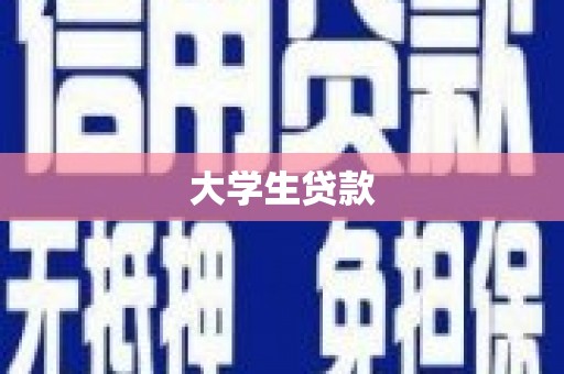 特克斯大学生贷款