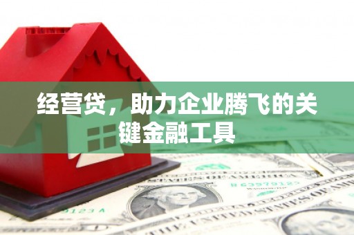特克斯经营贷，助力企业腾飞的关键金融工具