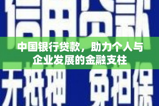 特克斯中国银行贷款，助力个人与企业发展的金融支柱