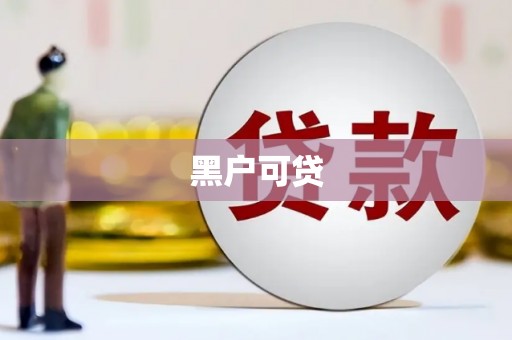 特克斯黑户可贷