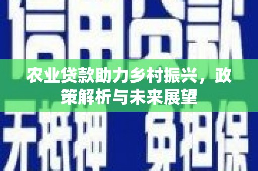 特克斯农业贷款助力乡村振兴，政策解析与未来展望