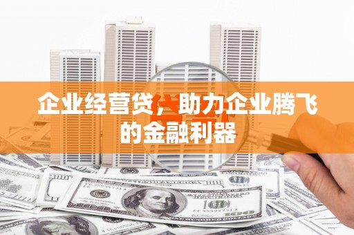 特克斯企业经营贷，助力企业腾飞的金融利器