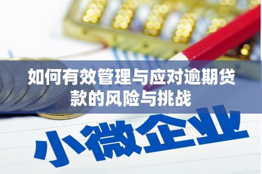 特克斯如何有效管理与应对逾期贷款的风险与挑战