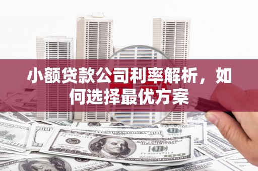 特克斯小额贷款公司利率解析，如何选择最优方案