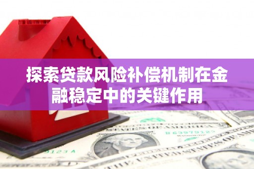 特克斯探索贷款风险补偿机制在金融稳定中的关键作用