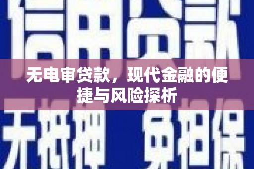 特克斯无电审贷款，现代金融的便捷与风险探析