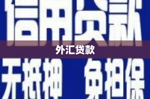 特克斯外汇贷款