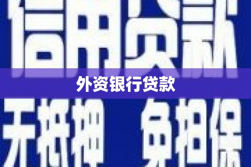 特克斯外资银行贷款