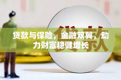 特克斯贷款与保险，金融双翼，助力财富稳健增长