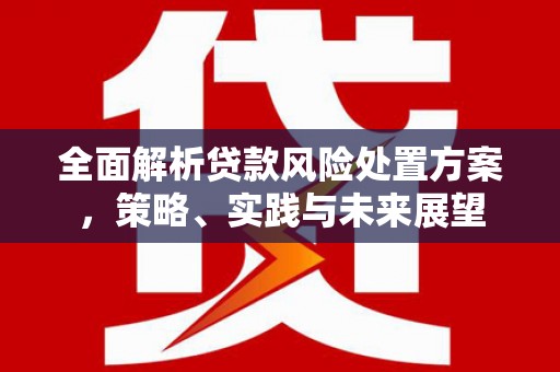 特克斯全面解析贷款风险处置方案，策略、实践与未来展望
