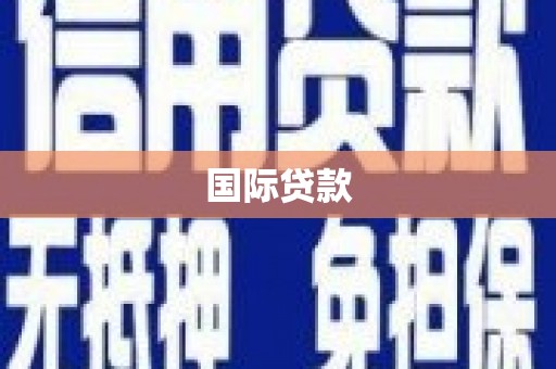 特克斯国际贷款