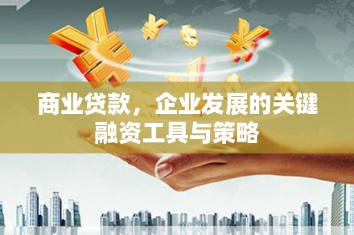特克斯商业贷款，企业发展的关键融资工具与策略