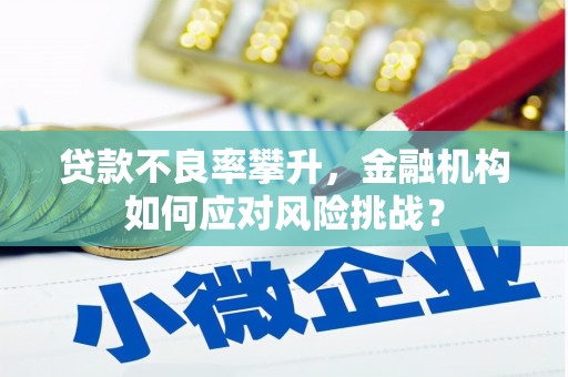 特克斯贷款不良率攀升，金融机构如何应对风险挑战？