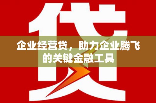 特克斯企业经营贷，助力企业腾飞的关键金融工具
