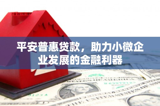 特克斯平安普惠贷款，助力小微企业发展的金融利器