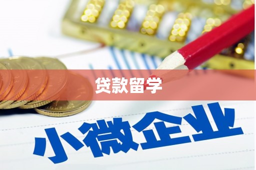 特克斯贷款留学