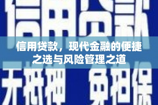 特克斯信用贷款，现代金融的便捷之选与风险管理之道