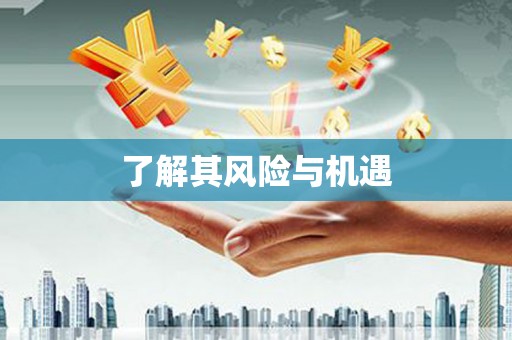 特克斯了解其风险与机遇