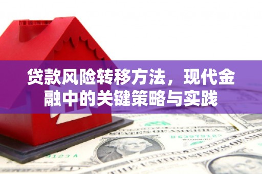 特克斯贷款风险转移方法，现代金融中的关键策略与实践