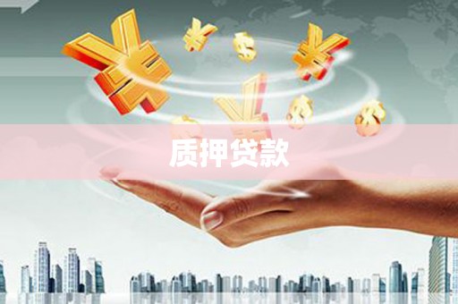 特克斯质押贷款