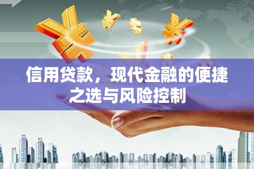 特克斯信用贷款，现代金融的便捷之选与风险控制