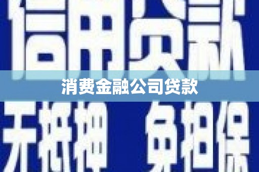 特克斯消费金融公司贷款