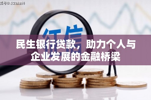 特克斯民生银行贷款，助力个人与企业发展的金融桥梁