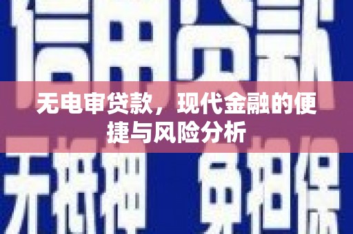 特克斯无电审贷款，现代金融的便捷与风险分析