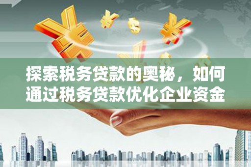 特克斯探索税务贷款的奥秘，如何通过税务贷款优化企业资金流