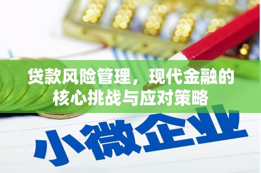特克斯贷款风险管理，现代金融的核心挑战与应对策略