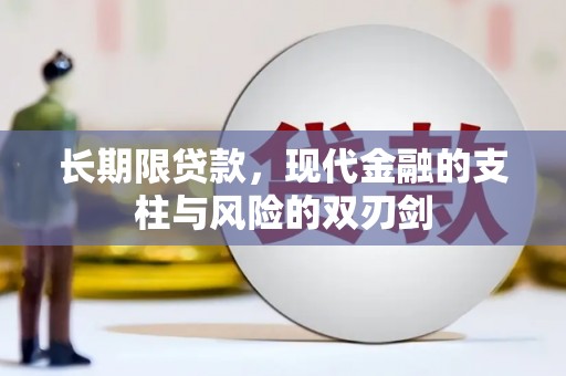特克斯长期限贷款，现代金融的支柱与风险的双刃剑