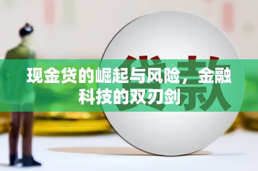 特克斯现金贷的崛起与风险，金融科技的双刃剑