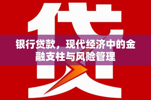 特克斯银行贷款，现代经济中的金融支柱与风险管理