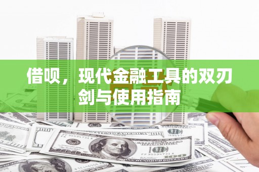 特克斯借呗，现代金融工具的双刃剑与使用指南