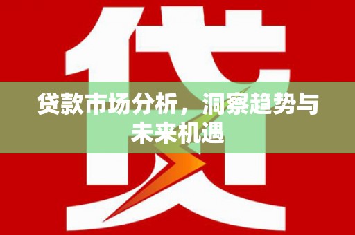 特克斯贷款市场分析，洞察趋势与未来机遇